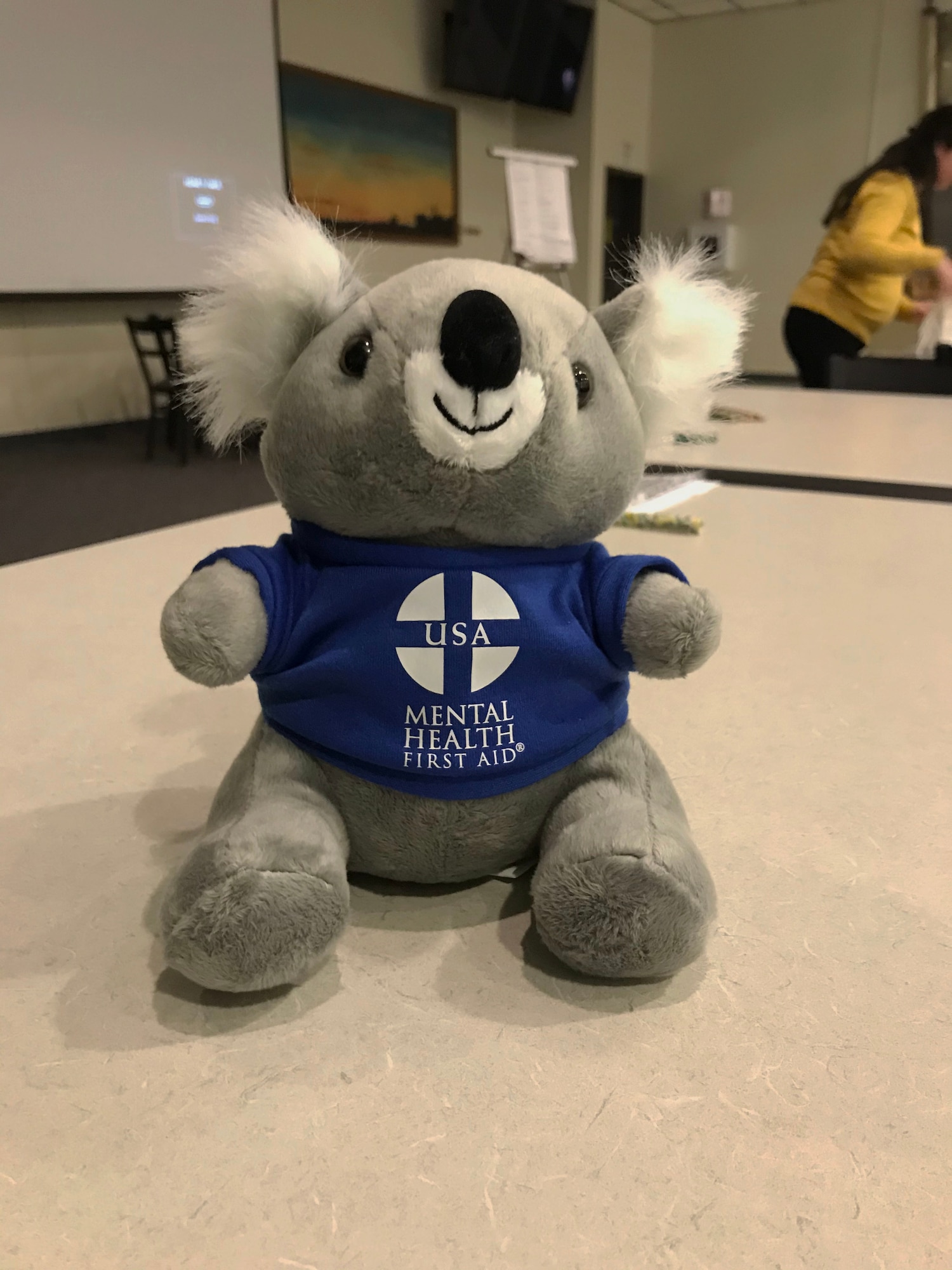 ALGEE the first-aid-Koala Bear sits on a table, January 15, 2020, at Bradley Air National Guard Base, East Granby, Conn. ALGEE is the mascot for Mental Health First Aid, an education program that introduces participants to the warning signs of mental health problems and teaches them how to respond to a mental health crisis. (U.S. Air National Guard photo by Tech. Sgt. Tamara R. Dabney)