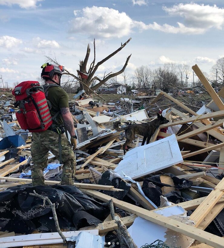 Master Sgt. Rudy Parsons, a pararescueman in the Kentucky Air National Guard’s 123rd Special Tactics Squadron, searches debris fields with Callie, his search-and-rescue dog, in Cookeville, Tenn., March 3, 2019. Parsons and Callie searched for survivors of the multiple tornadoes that hit middle Tennessee earlier that morning, claiming 24 lives. Parsons and Callie — the only certified search-and-rescue dog in the Department of Defense — covered approximate one square mile in five hours. The Dutch shepherd is able to clear rubble piles in minutes using her keen sense of smell, saving hours or days over traditional search-and-rescue methods. (Courtesy Photo)