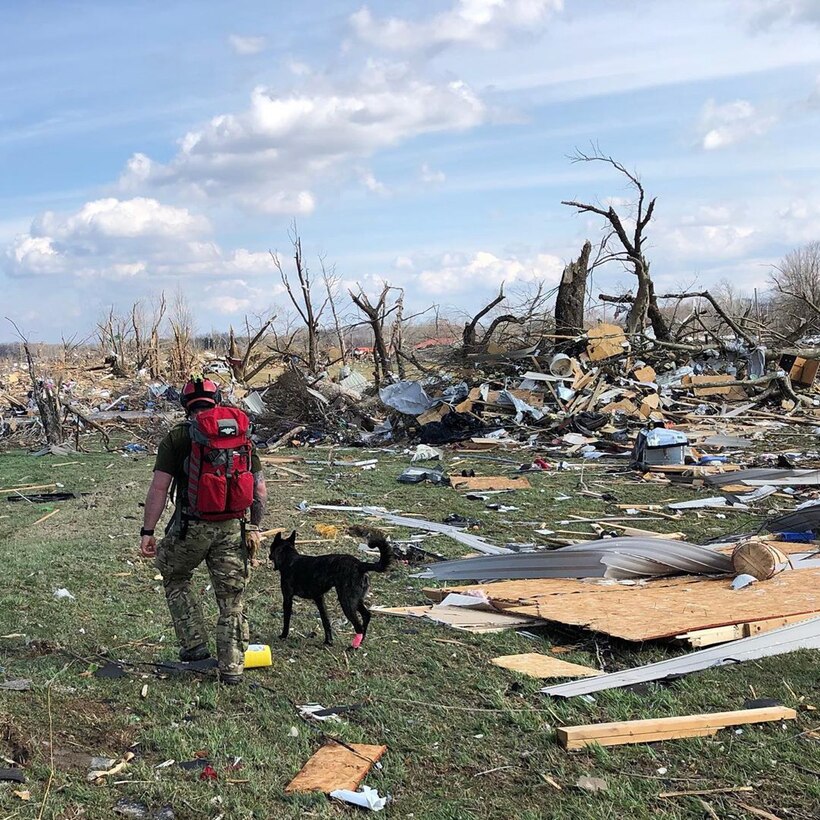 Master Sgt. Rudy Parsons, a pararescueman in the Kentucky Air National Guard’s 123rd Special Tactics Squadron, searches debris fields with Callie, his search-and-rescue dog, in Cookeville, Tenn., March 3, 2019. Parsons and Callie searched for survivors of the multiple tornadoes that hit middle Tennessee earlier that morning, claiming 24 lives. Parsons and Callie — the only certified search-and-rescue dog in the Department of Defense — covered approximate one square mile in five hours. The Dutch shepherd is able to clear rubble piles in minutes using her keen sense of smell, saving hours or days over traditional search-and-rescue methods. (Courtesy Photo)