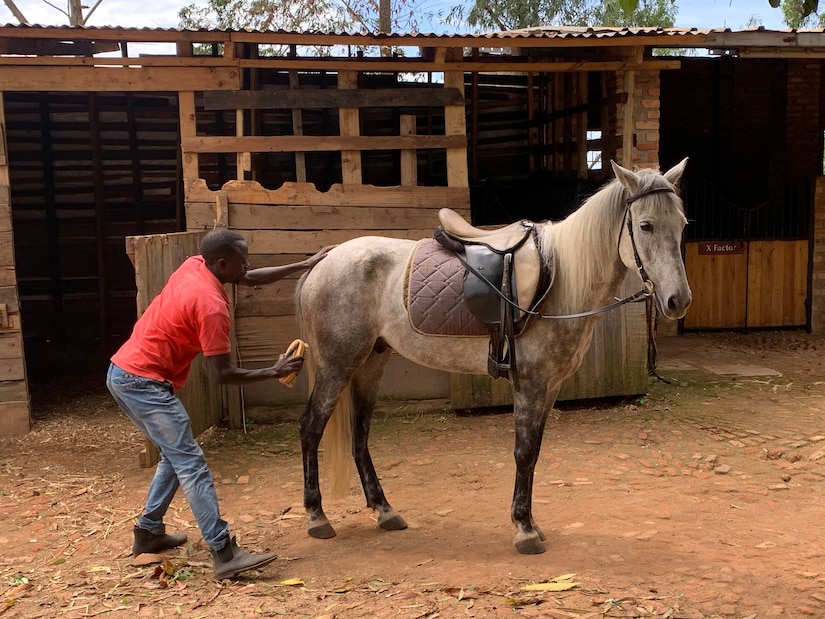 411th Civil Affairs Battalion, Rwandan officials partner for veterinary ‘One Health’ Assessment