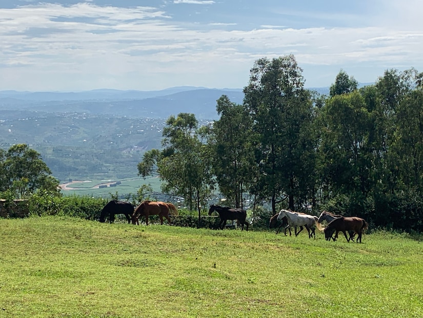 411th Civil Affairs Battalion, Rwandan officials partner for veterinary ‘One Health’ Assessment