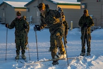 U.S. Marines practice using skiing equipment during Exercise Arctic Edge 20 at Fort Greely, Alaska, Feb. 3.