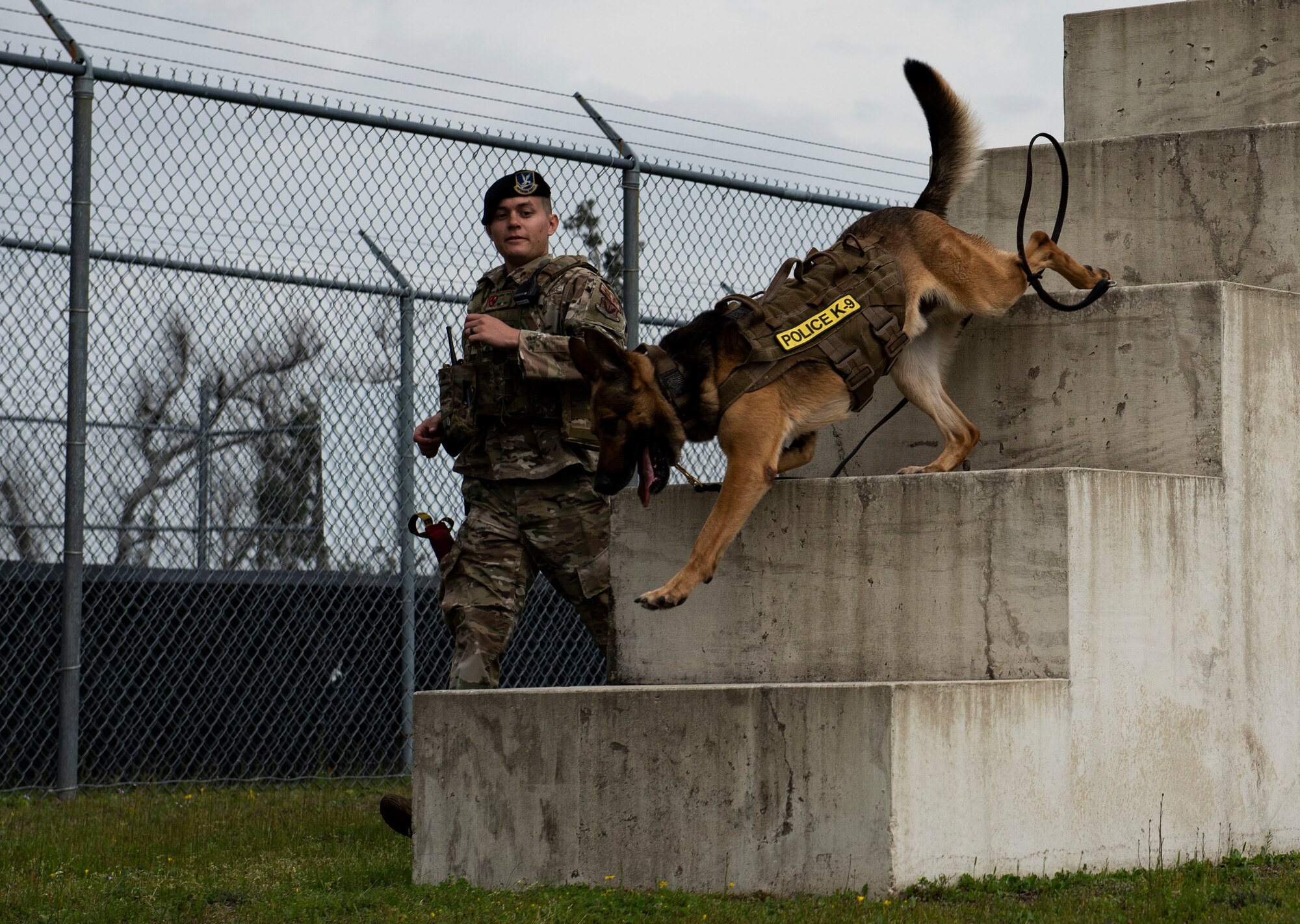 Sunny, a 325th Security Forces Squadron military working dog, and his handler, Staff Sgt. Jason Vogt, run through an obstacle course used for cardio training at Tyndall Air Force Base, Florida, March 3, 2020. Cardio workouts and training techniques are part of the daily routine for MWD duos. This photo was taken while doing a demonstration for K-9 Veterans Day. (U.S. Air Force photo by Staff Sgt. Magen M. Reeves)