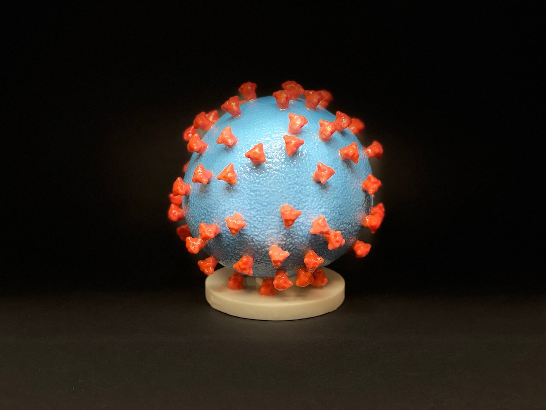 An image of a model of a virus cell.