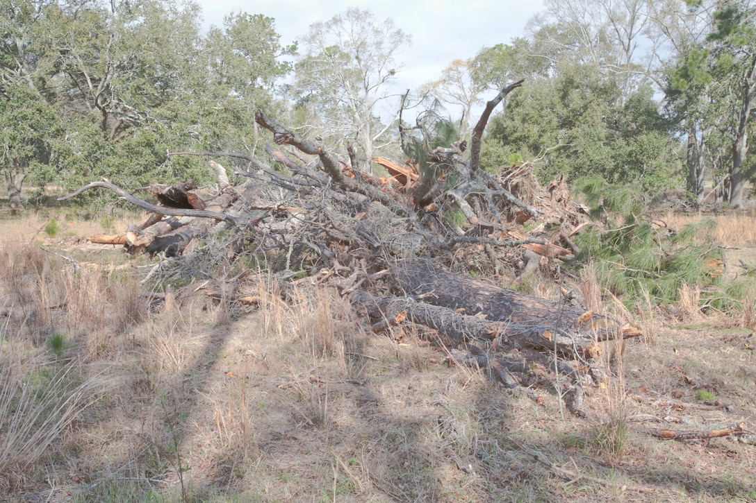 The southwest Georgia area is no stranger to severe weather events, from flooding to severe thunderstorms, tornadoes and even hurricanes. Marine Corps Logistics Base Albany has, like the community outside its gates, implemented recovery measures as well as pre-emptive practices for minimizing impact to life and operations to the extent possible when disaster strikes. (U.S. Marine Corps photo by Jennifer Parks)