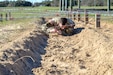 Brown-haired male in green camouflage uniform crawls in dirt under barbed wire.