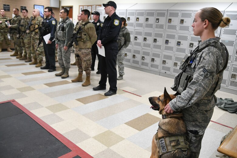 Handlers form bonds with their military working dogs > Air Force