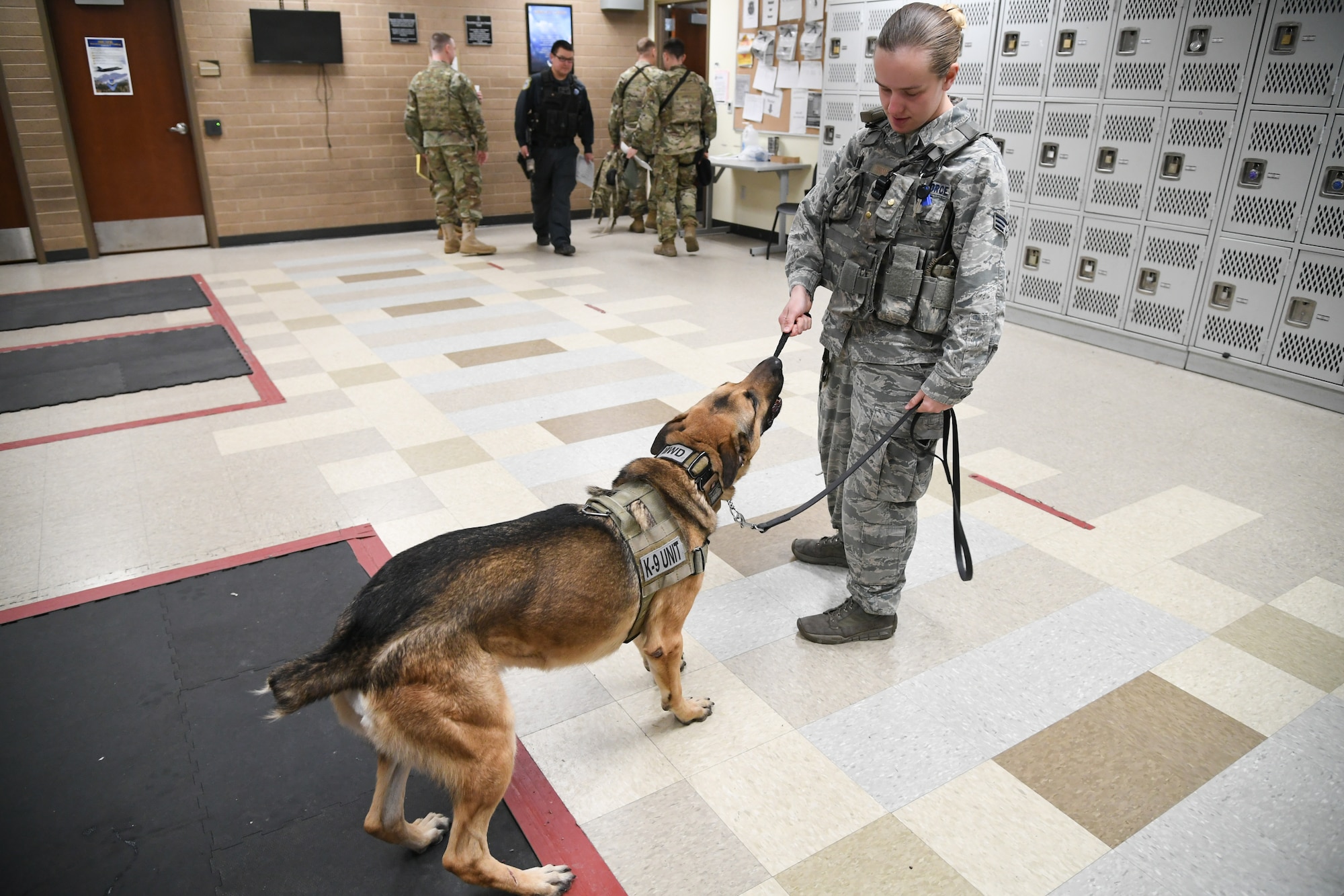 Senior Airman Michelle Winters, 75th Security Force Squadron, rewards Joe, a military working dog, with a toy for staying calm during a roll call at Hill Air Force Base, Utah, March 4, 2020. Joe is a single-purpose MWD, trained as an explosive detection dog. (U.S. Air Force photo by Cynthia Griggs)