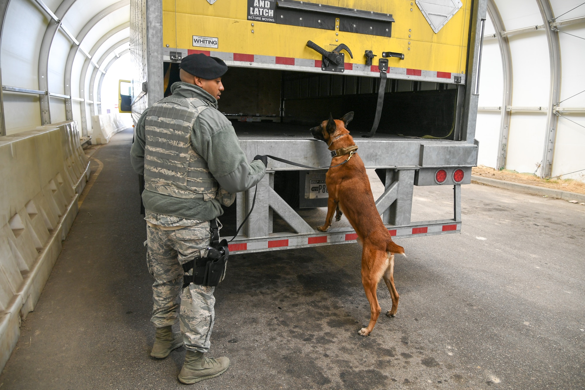 Staff Sgt. Paul Bryant, 75th Security Force Squadron, walks with Xxuthus, a military working dog, during a search of commercial vehicles at Hill Air Force Base, Utah, March 4, 2020. Bryant has been XXuthus's handler for six months. Xxuthus is a single-purpose MWD, trained as an explosive detection dog. (U.S. Air Force photo by Cynthia Griggs)