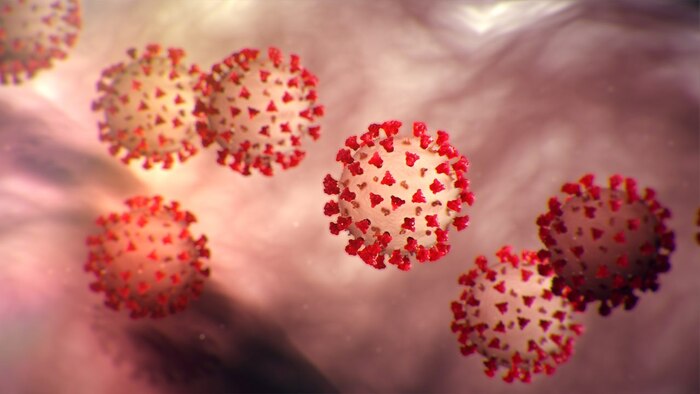 Photo of virus.