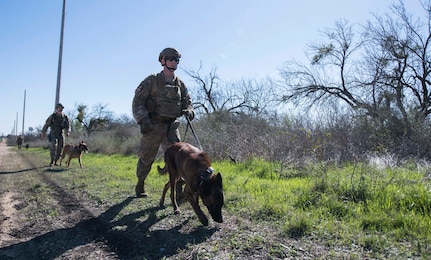 Military Working Dogs