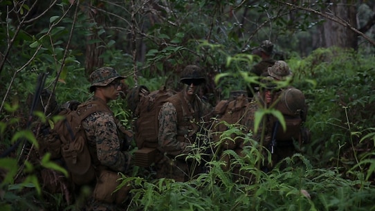 U.S. Marines with Kilo Company, 3rd Battalion, 3rd Marine Regiment make their way through the jungle terrain during a squad patrol at Schofield Barracks, Hawaii, Feb. 25, 2020. Bougainville I is the beginning exercise that focus on squad level battle drills and tactical training aiming to strengthen the units pre-deployment readiness. (U.S. Marine Corps photo by Cpl. Eric Tso)