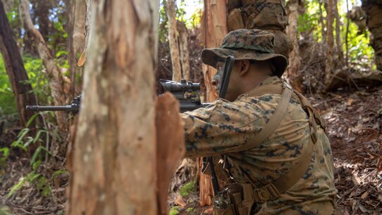 U.S. Marine Corps Sgt. Allen Valdez with kilo company, 3rd Battalion, 3rd Marine Regiment sights down range during a squad patrol at Schofield Barracks, Hawaii, Feb. 25, 2020. Bougainville I is the beginning exercise that focus on squad level battle drills and tactical training aiming to strengthen the units pre-deployment readiness. (U.S. Marine Corps photo by Cpl. Eric Tso)