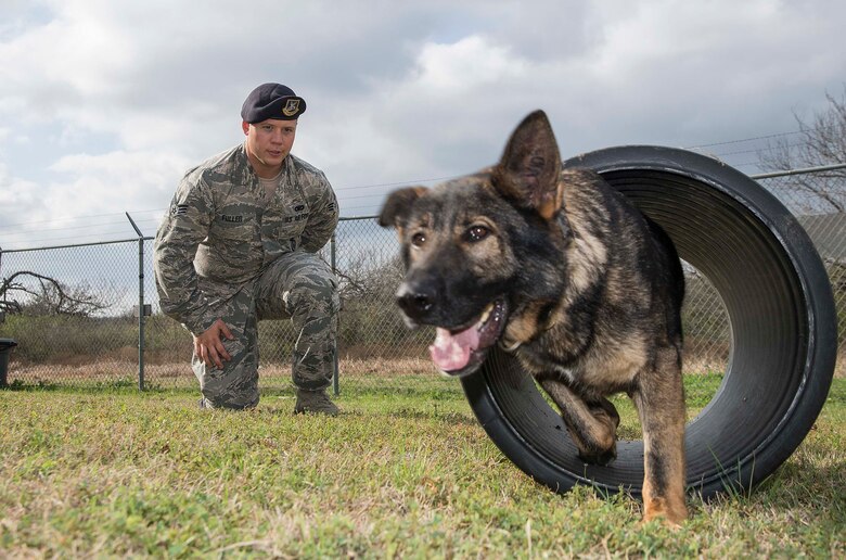 Paw Prints In The Field The History Of K9 Veterans Air Education And Training Command News