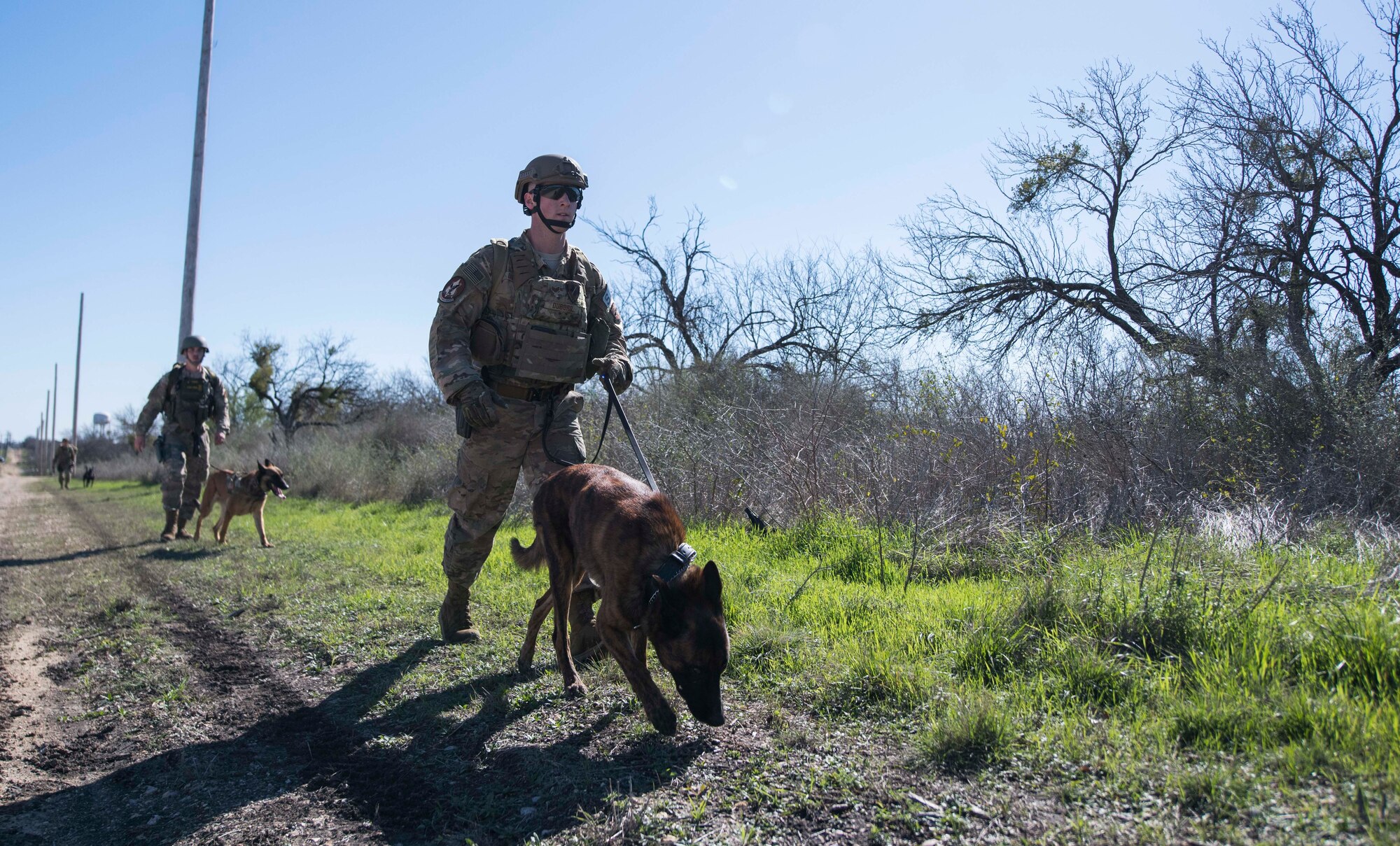 Military Working Dogs