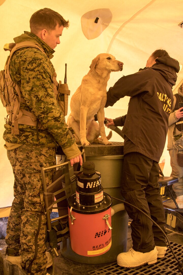 Alaska's Extreme Cold Tests Soldiers, Equipment > U.S. Department of  Defense > Defense Department News