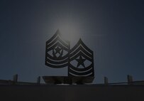 NCOLCoE Chevrons