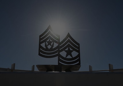 NCOLCoE Chevrons