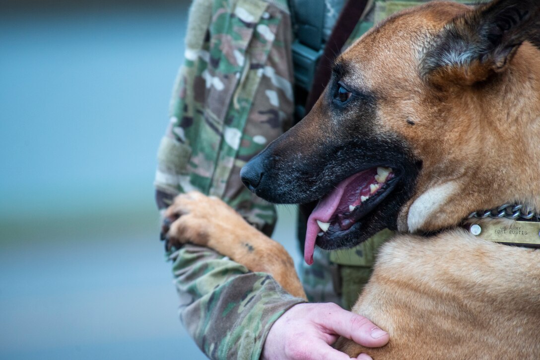 A military working dog handler gives their military working dog affection.
