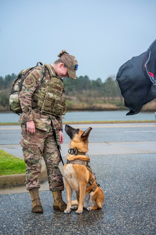 A military working dog handler stands with their military working dog.