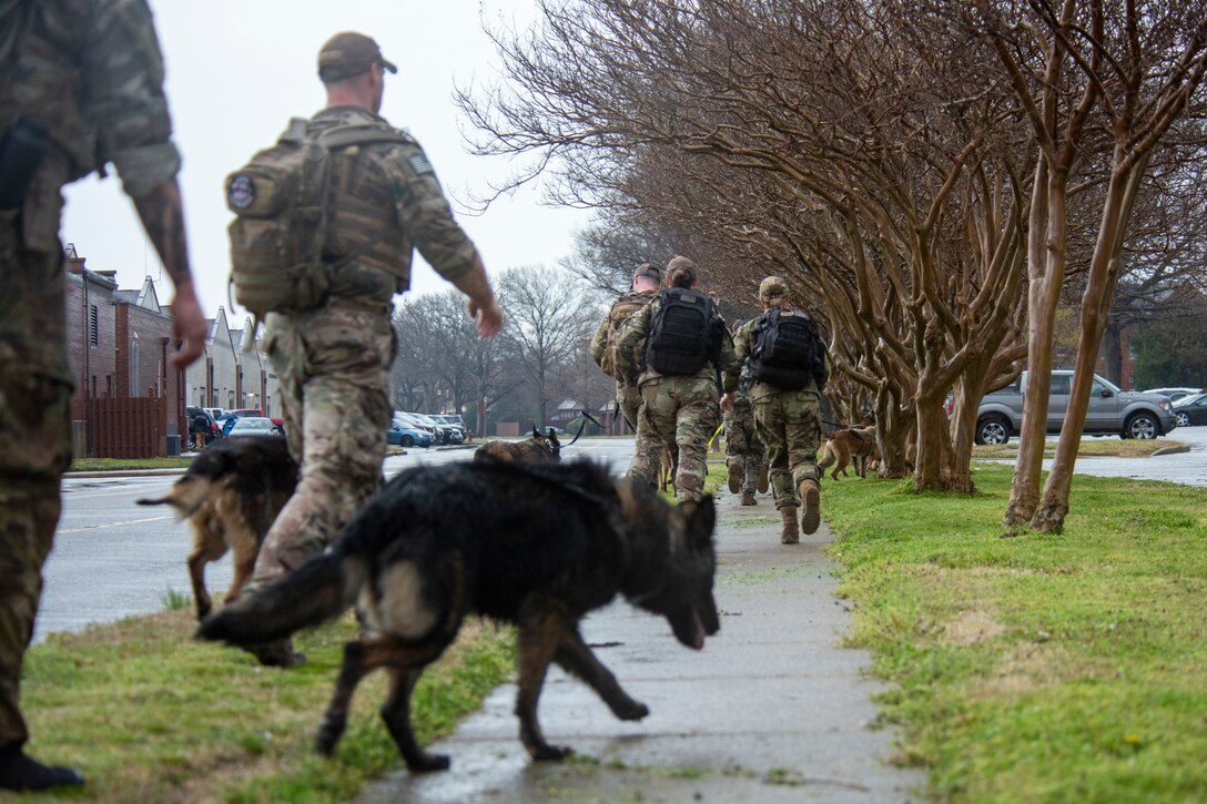 A group of military working dog handlers walk down the street.