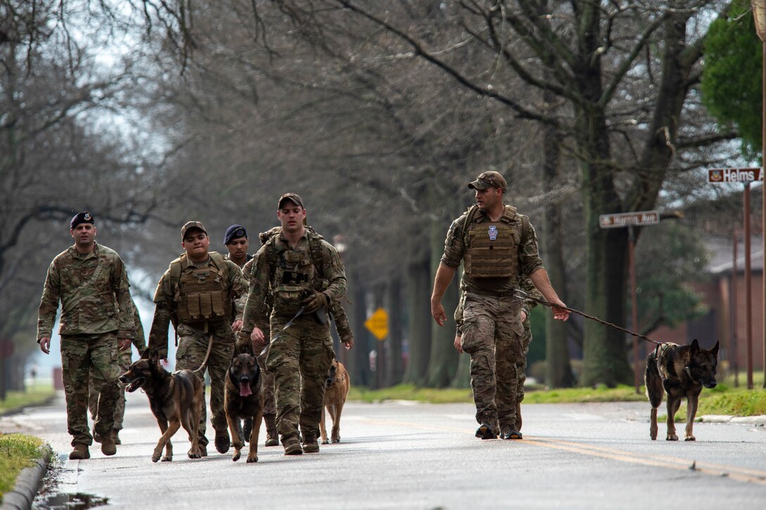 A group of military members walk with their military working dogs down the street.