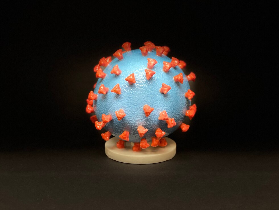 A picture of a 3D print of the virus that causes COVID-19.
A 3D print of a SARS-CoV-2—also known as 2019-nCoV, the virus that causes COVID-19—virus particle. The virus surface (blue) is covered with spike proteins (red) that enable the virus to enter and infect human cells. 