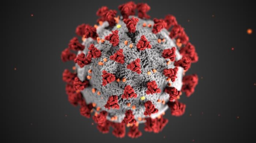 Graphic shows a computer model of COVID-19.