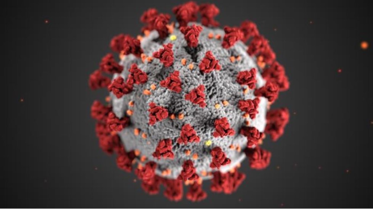 Coronavirus website