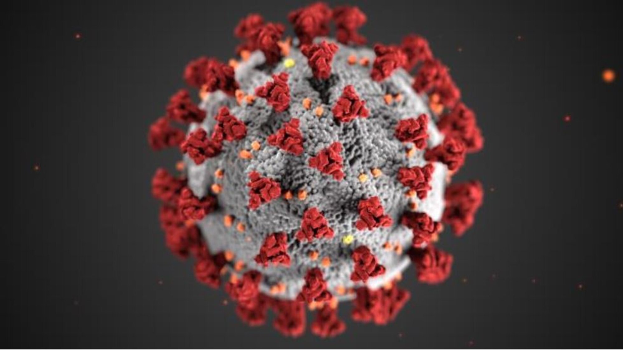 Graphic of coronavirus from CDC