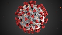 Graphic of coronavirus.