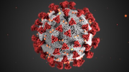 Graphic of coronavirus.