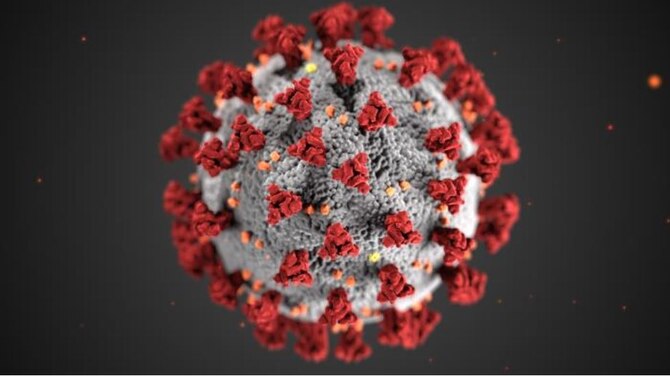 Graphic of coronavirus from CDC