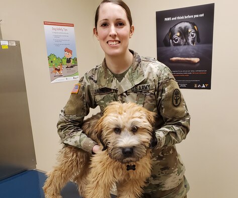 Army Sgt. Brianna Jamieson, NCOIC of the Wright-Patterson Veterinary Treatment facility evaluates Dodger during a routine appointment. (Courtesy photo)