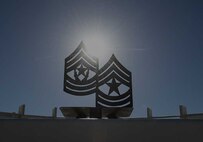 NCOLCoE Chevrons