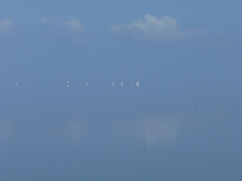 Lake Okeechobee where the water meets the sky