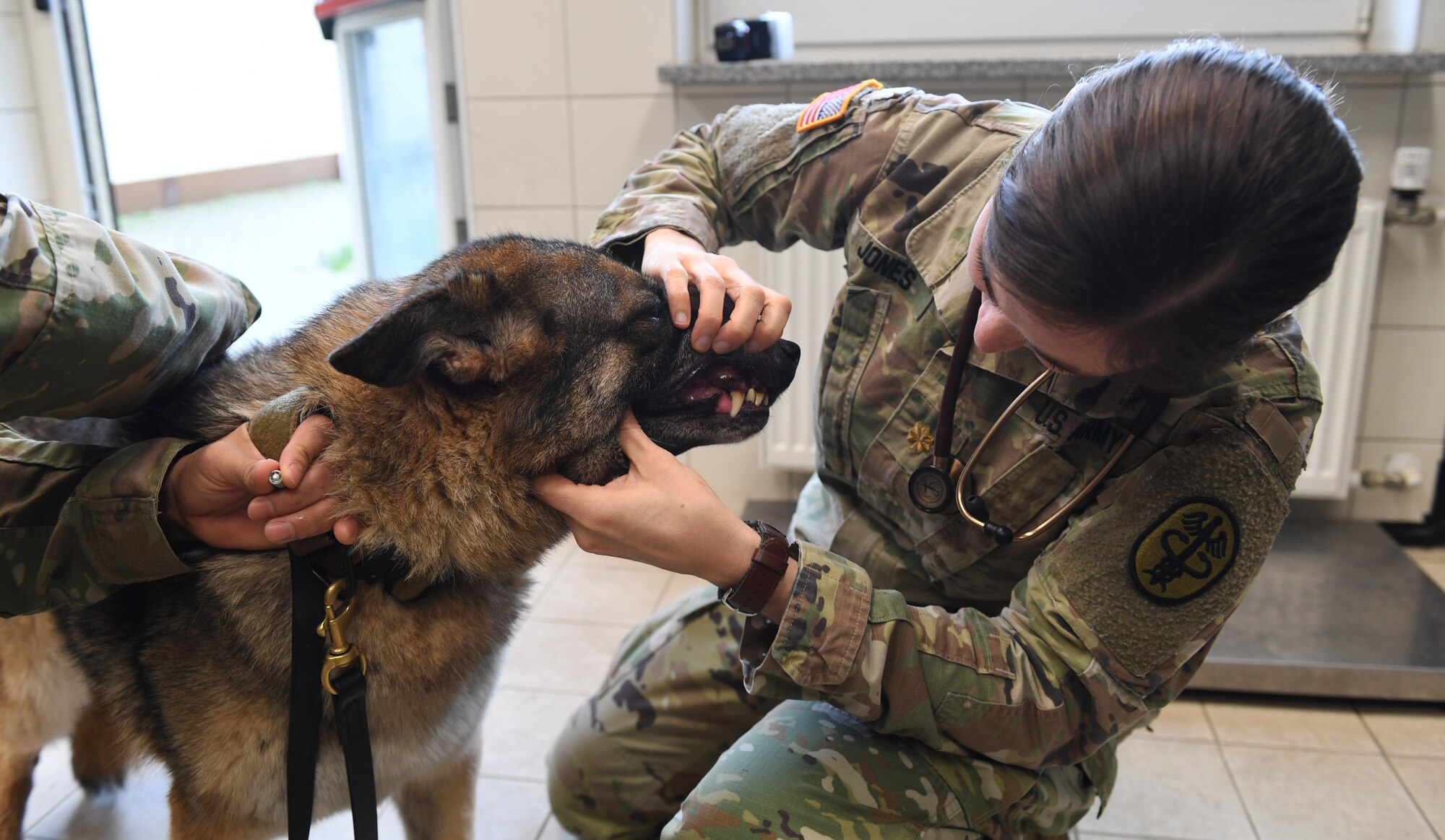 U.S. Army Maj. Monika Jones, 52nd Medical Group veterinarian inspects the teeth of Karla, 52nd Fighter Wing Security Forces Squadron military working dog, at Spangdahlem Air Base, Germany, Mar. 5, 2020. Dental health is as important for dogs as it is for humans, and plays a pivotal role in making sure MWDs are ready for duty. (U.S. Air Force photo by Airman 1st Class Alison Stewart)