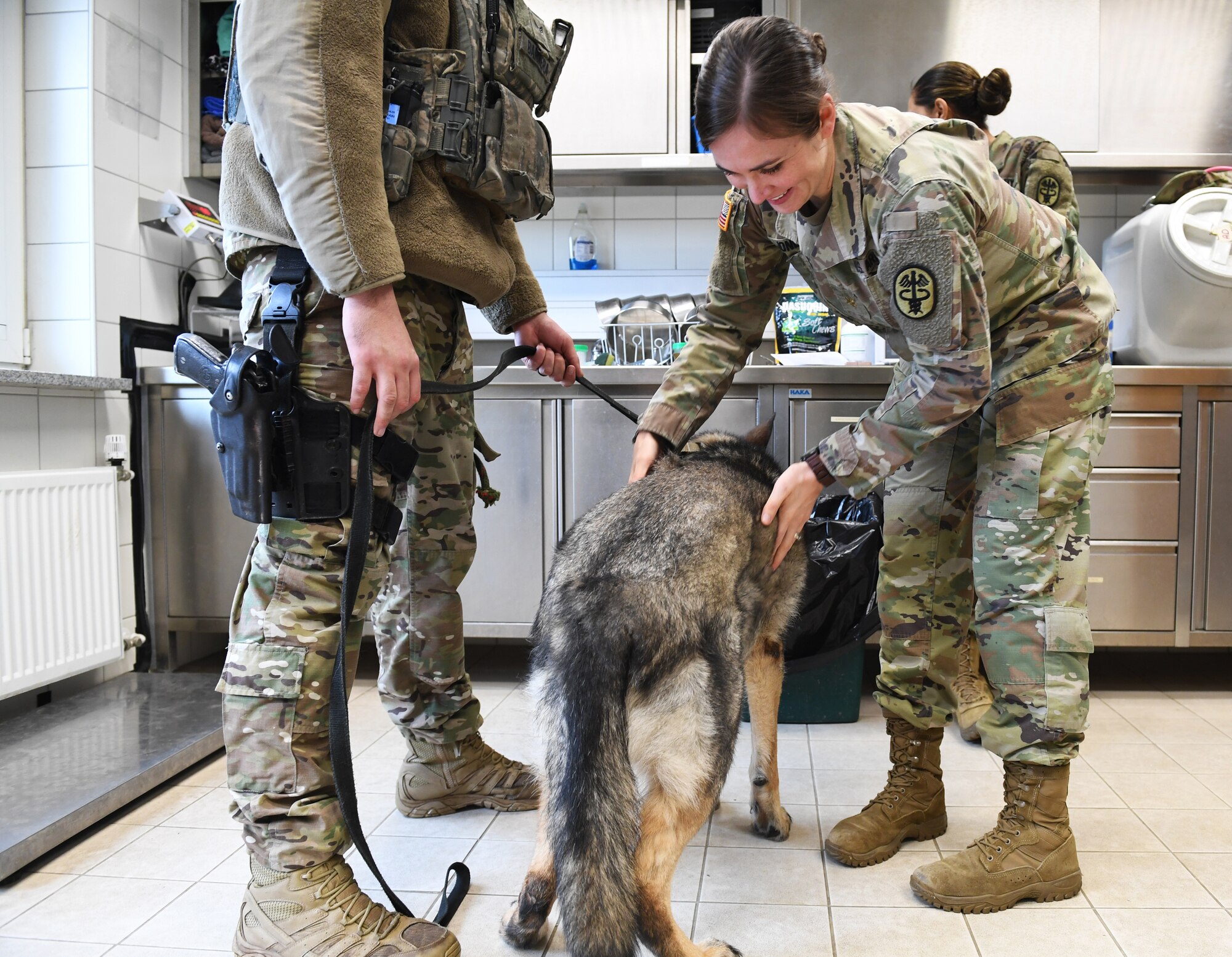 U.S. Army Maj. Monika Jones, 52nd Medical Group veterinarian, checks the body fat of Karla, 52nd FW Security Forces Squadron military working dog, at Spangdahlem Air Base, Germany, Mar. 05, 2020. Body fat checks are performed monthly to ensure the dogs are getting enough exercise and eating healthy. (U.S. Air Force photo by Airman 1st Class Alison Stewart)