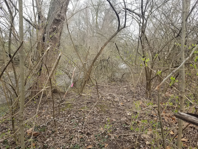A view of Coldwater Creek and environs Monday, March 23, 2020. Coldwater Creek corridor (banks and sediment) and adjacent properties from New Halls Ferry in Florissant to Westminster in North St. Louis County make up a stretch of CWC being sampled in 2020.