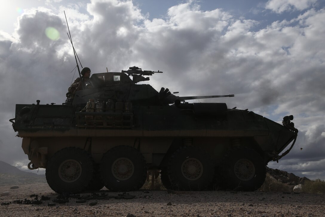 U.S. Marines with 2nd Light Armored Reconnaissance Battalion, 2nd Marine Division fire the M242 Bushmaster during a live-fire range on the National Training Center 20-05 in Ft. Irwin, Calif., March 20, 2020. The National Training Center is a unique opportunity that allows Marines and Sailors to train with and against a peer competitor in a conventional combat operational setting. (U.S. Marine Corps photo by Cpl. Elijah J. Abernathy)