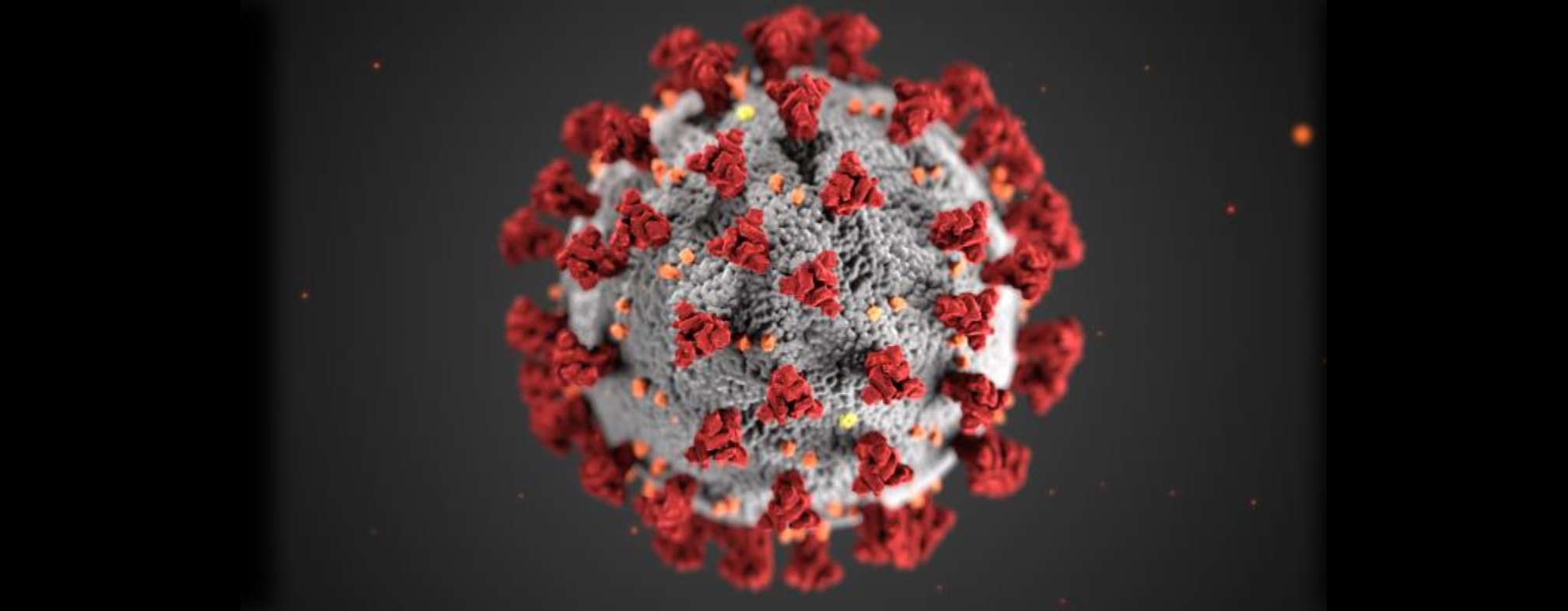 CORONAVIRUS GRAPHIC 2019