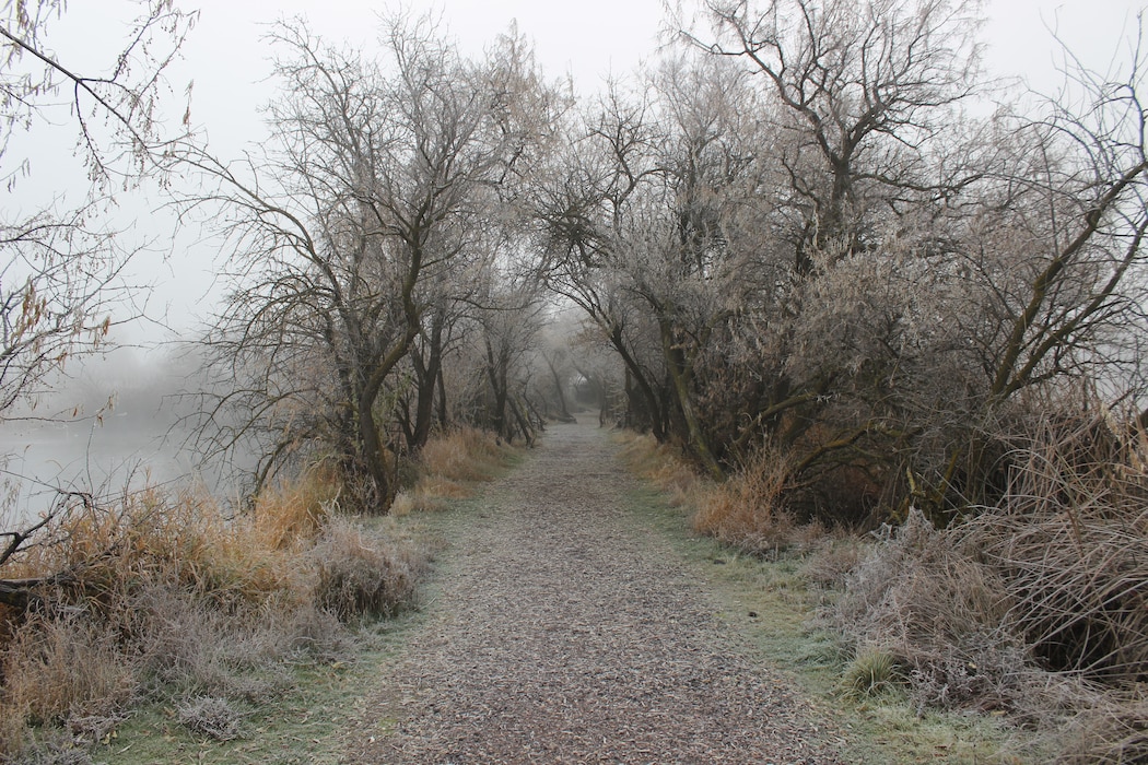 mcnary nature area trail