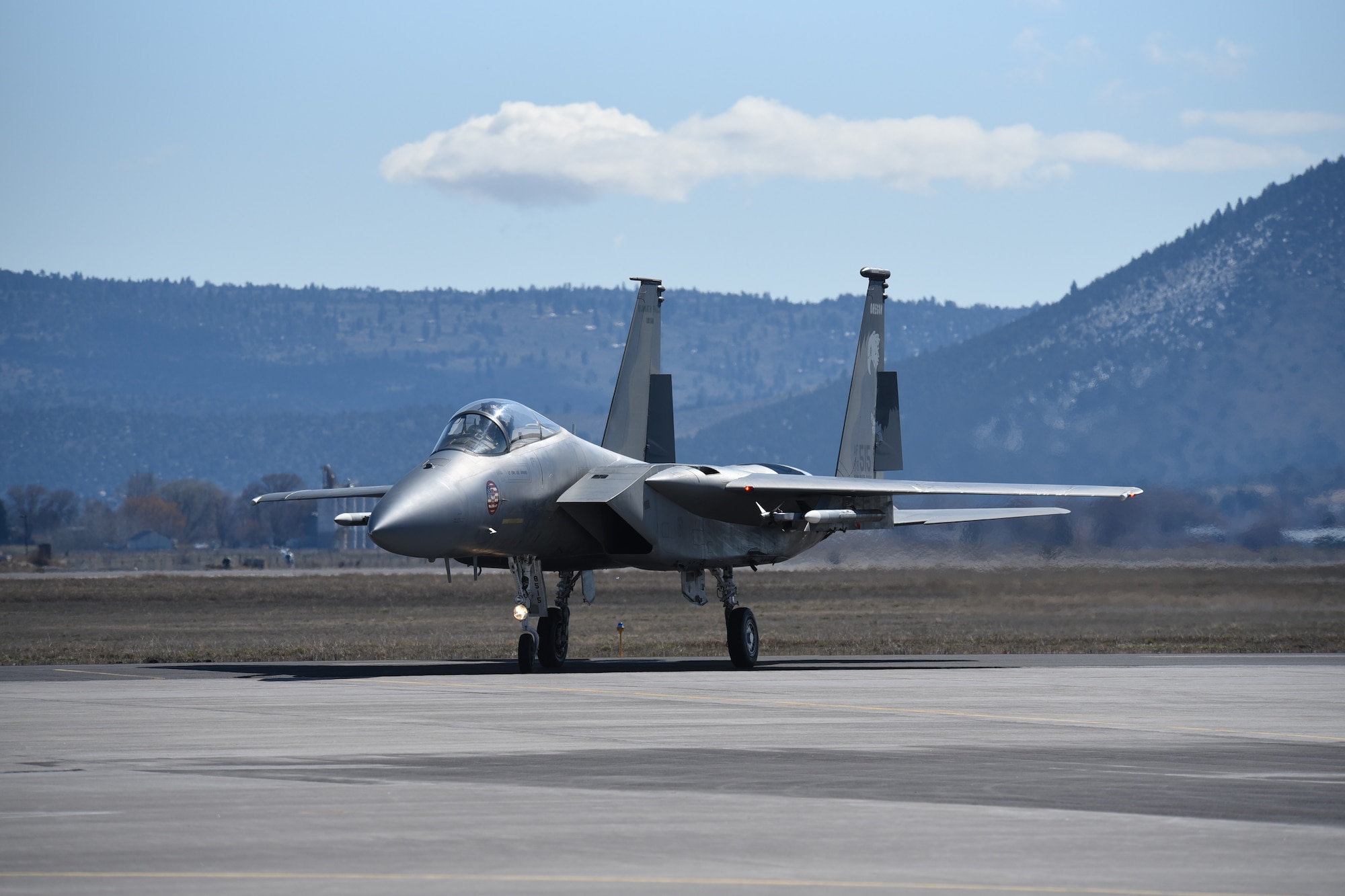 F-15 Eagles