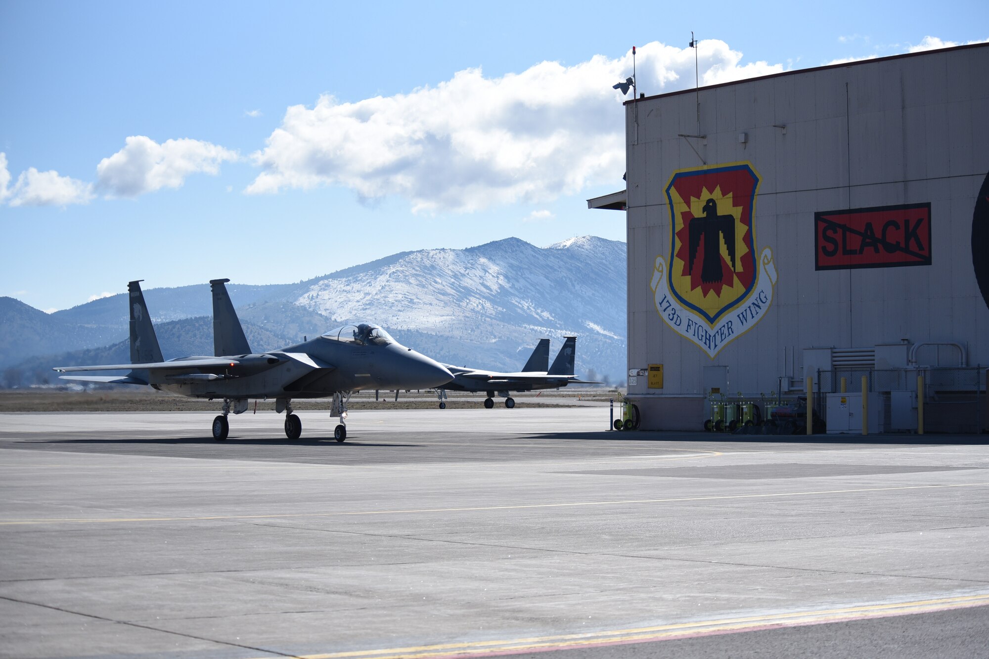 F-15 Eagles