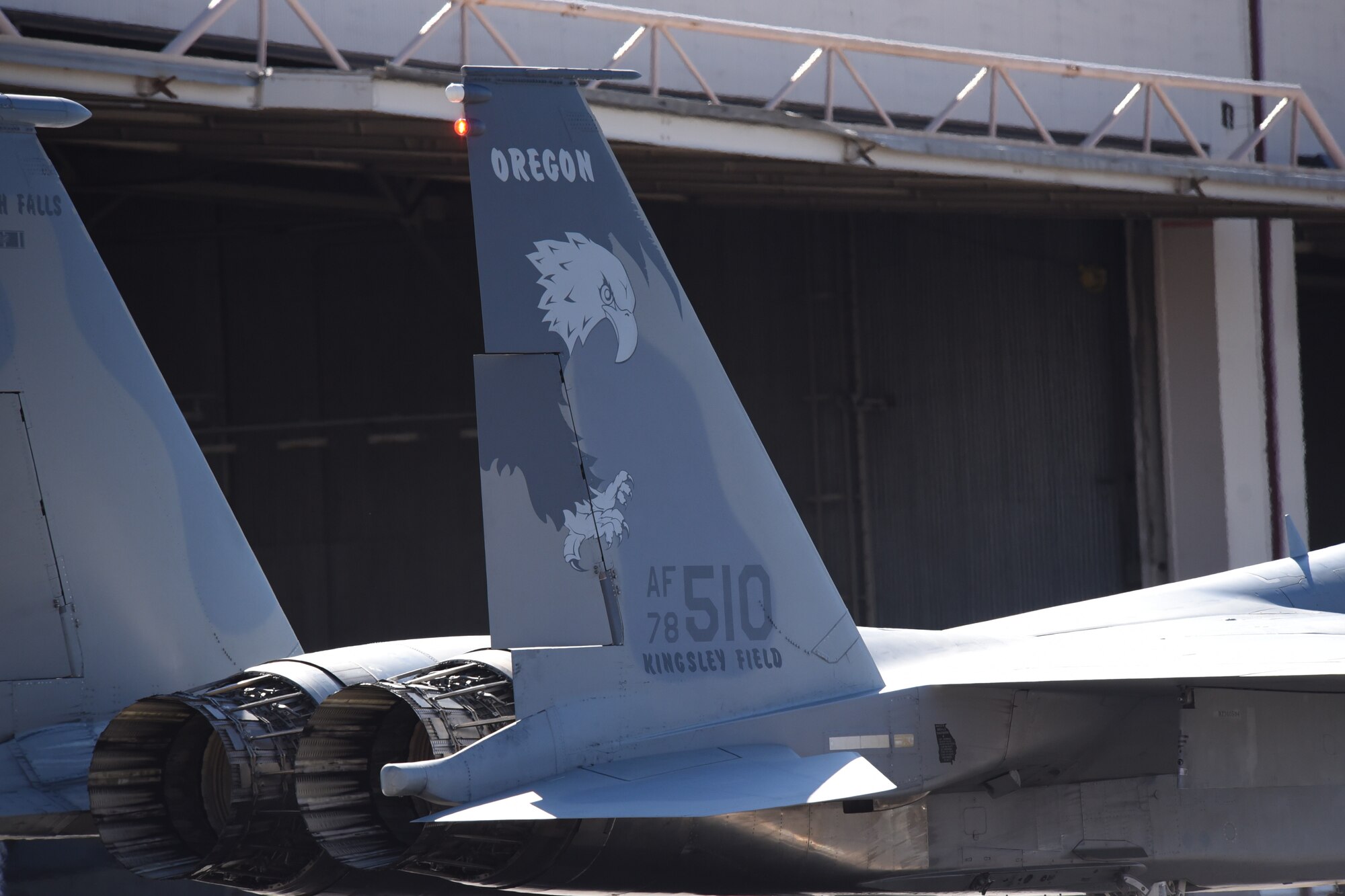 F-15 Eagles