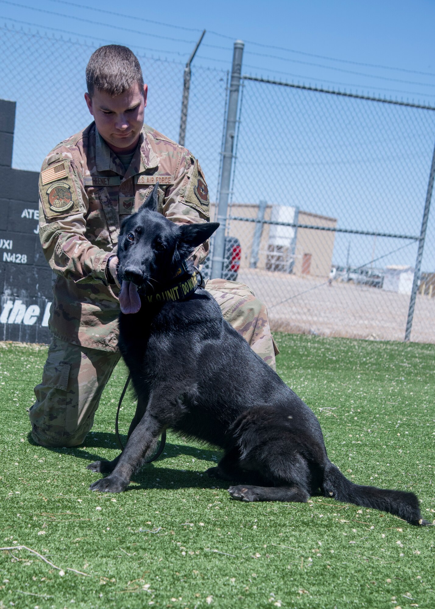 Staff Sgt. Chase Feeney, 49th Security Forces Squadron military working dog handler, changes MWD Bruno, 49th SFS explosive detector dog, collar during his retirement ceremony, April 24, 2020, on Holloman Air Force Base, N.M. A MWD retirement ceremony entails the changing of the collar – a transition from their military working collar to their retirement collar, and a reflection of their time in service. (U.S. Air Force photo by Senior Airman Collette Brooks)