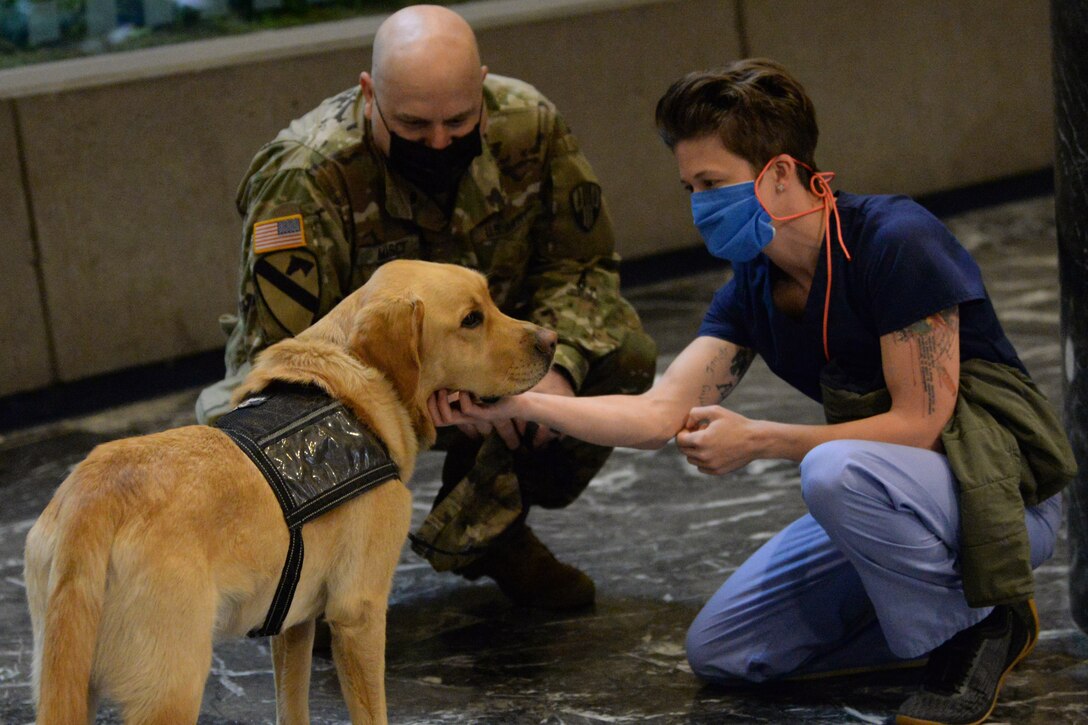 A soldier petting a service dog.