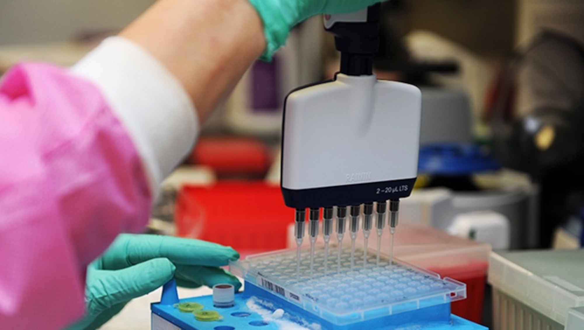 Kimberly Griffitt, 81st Medical Operations Squadron molecular technologist, uses a multi-channel pipetting technique to prepare patient DNA for testing at the 81st Medical Group’s genetics center Mar. 16, 2016, Keesler Air Force Base, Miss. The Air Force Medical Genetics Center is the only laboratory of its kind in the entire Defense Department. Made up of the cytogenetics and molecular genetics labs, the center is focused on providing clinical and laboratory diagnostic services to support all DOD facilities worldwide. (U.S. Air Force photo by Kemberly Groue)