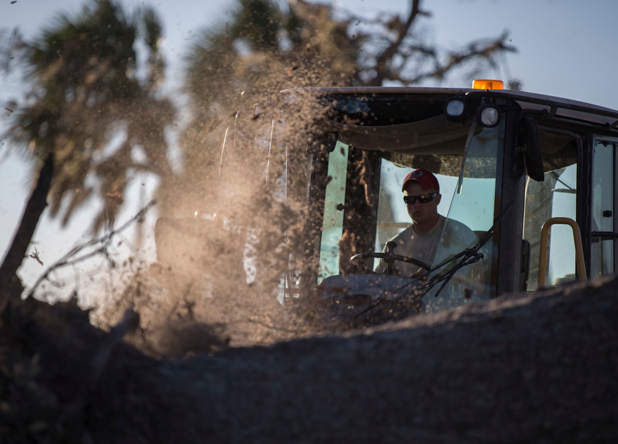 Civil engineers of the 823rd REDHORSE Squadron, Hurlburt Field, Florida, saw a damaged tree at Tyndall Air Force Base, Florida, Oct. 21, 2018.