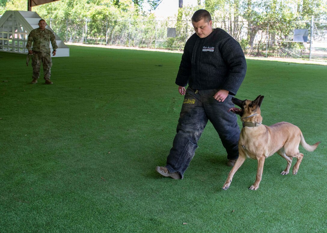 Senior Airman Joseph Garcia, 4th Security Forces Squadron (SFS) military working dog (MWD) handler (back), instructs MWD Tessa to guard Staff Sgt. Dakota Willis, 4th SFS MWD kennel master, during patrol training at Seymour Johnson Air Force Base, North Carolina, May 7, 2020. Handlers use commands and hand signals to control their dog when it’s unleashed. (U.S. Air Force photo by Airman First Class Kimberly Barrera)